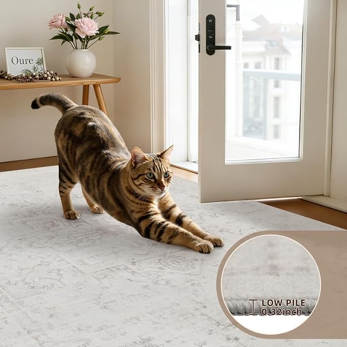 8x10 Area Rugs for Living Room: Vintage Boho Neutral Washable Rug Indoor Soft - Image 9