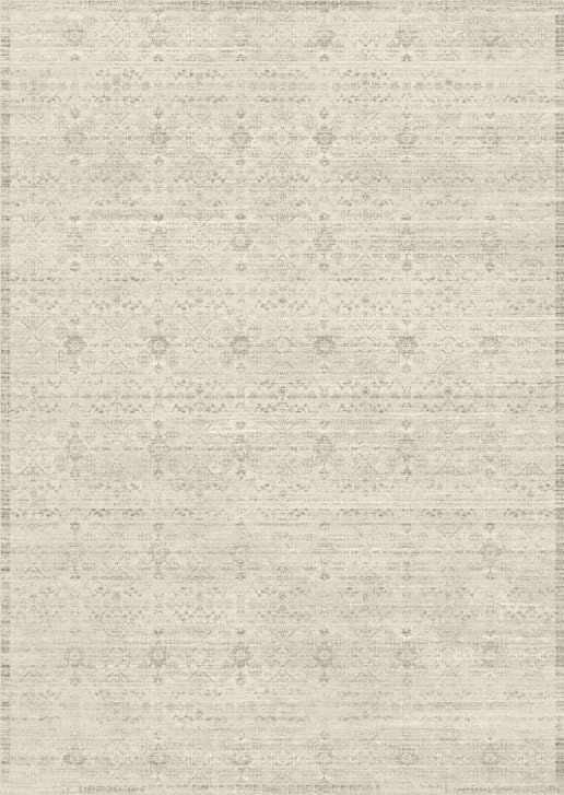 DCX 6x9 Beige and Gray Rug, Kid & Pet Friendly by DCXWashableRug