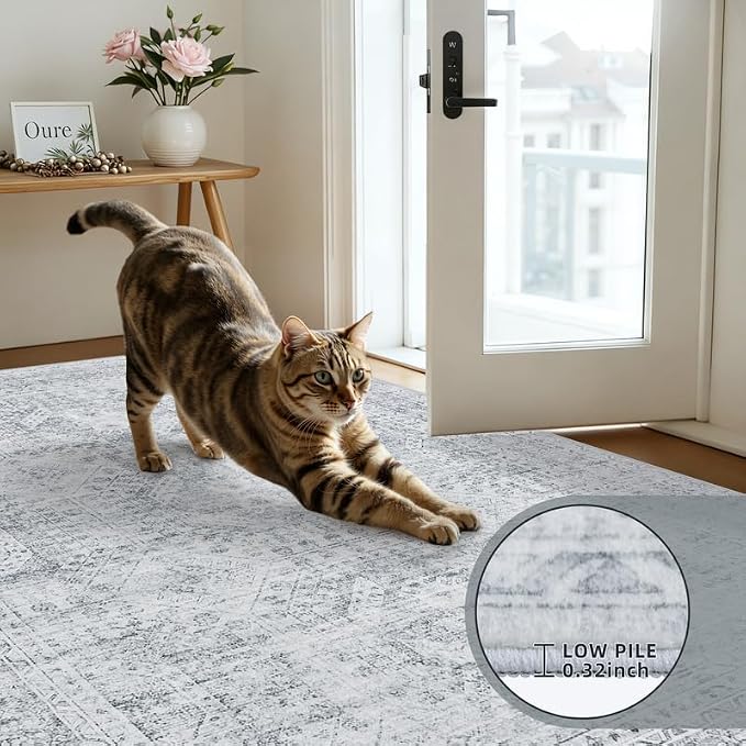 Round Area Rug for Living Room: 6ft Vintage Boho Neutral Washable Circle Rug - Image 6