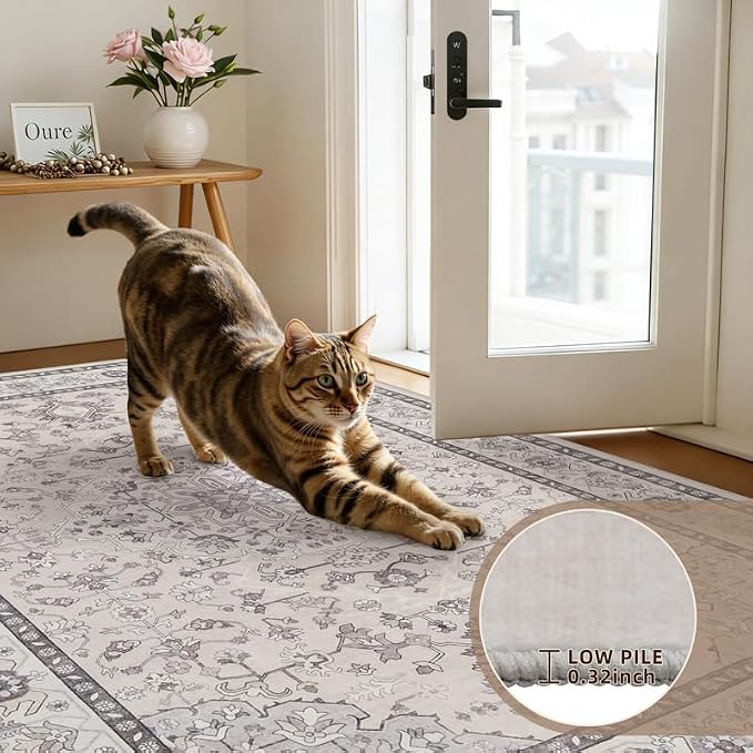 6x9 Area Rugs for Living Room: Vintage Boho Neutral Washable Rug Indoor Soft - Image 7