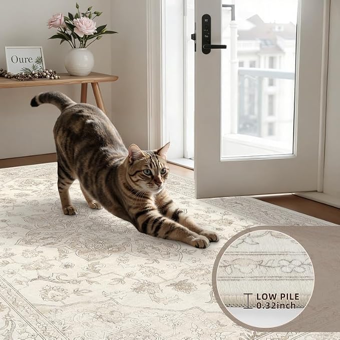 Round Area Rug for Living Room: 8ft Vintage Boho Neutral Washable Circle Rug - Image 6