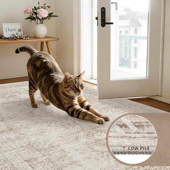 3x5 Area Rugs for Living Room: Vintage Boho Neutral Washable Rug Indoor Soft - Image 7