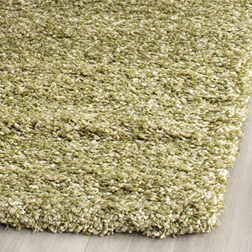 SAFAVIEH Area Rug 3x5 - Image 3