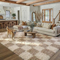 PureCozy Beige 5x8 Area Rugs for Living Room Soft Shag Checkered Large Rug by PureCozy