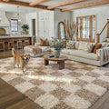 PureCozy Beige 5x7 Area Rugs for Living Room Soft Shag Checkered Large Rug by PureCozy