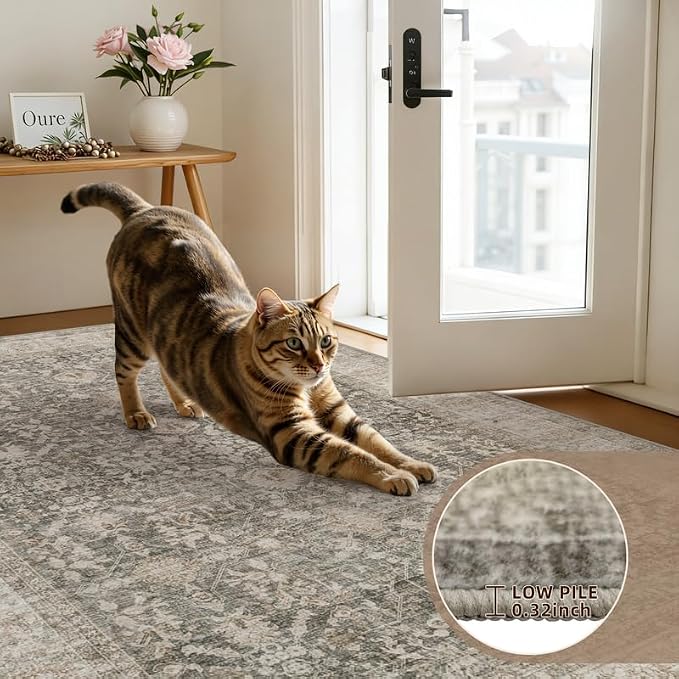 8x10 Area Rugs for Living Room: Vintage Boho Neutral Washable Rug Indoor Soft - Image 9