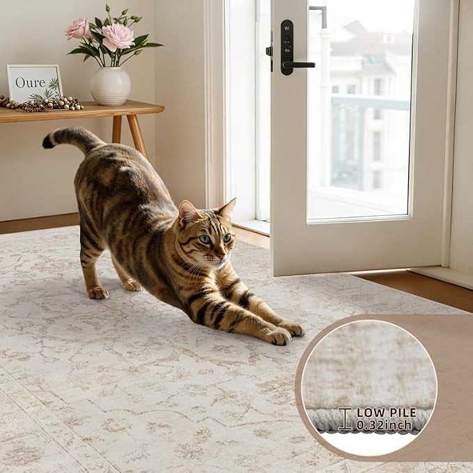 6x9 Area Rugs for Living Room: Vintage Boho Neutral Washable Rug Indoor Soft - Image 7