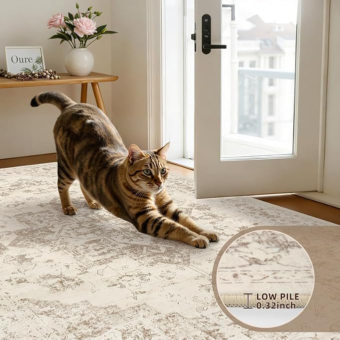 Machine Washable Area Rugs 2x3: Vintage Boho Neutral Washable Rug Indoor Soft - Image 6