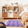 2x3 Rugs for Bedroom, Fluffy Area Rugs for Living Room, Small Fuzzy Shag Soft by Unknown