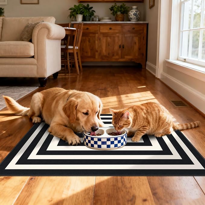 Front Door Mat Outside Entrance - Image 6