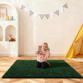 Dark Green Rugs for Bedroom, 4x6 Fluffy Area Rugs for Living Room, Small Fuzzy by Unknown