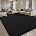 Sour Lemon 10x14 Area Rugs for Living Room, Soft Large Area Rug Fluffy Rugs for by SourLemon