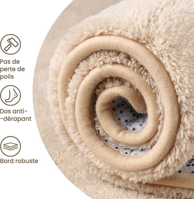 Sour Lemon 5x7 Area Rugs for Living Room, Soft Large Area Rug Fluffy Rugs for - Image 4