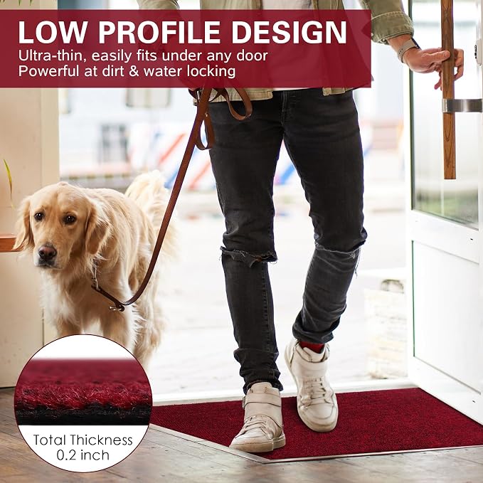 Front Door Mat Indoor and Outdoor, Non-Slip Low Profile Doormat 60"x35" - Image 5
