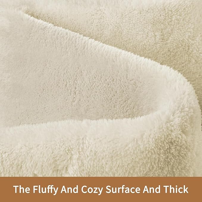 Sour Lemon 5x7 Area Rugs for Living Room, Soft Large Area Rug Fluffy Rugs for - Image 2
