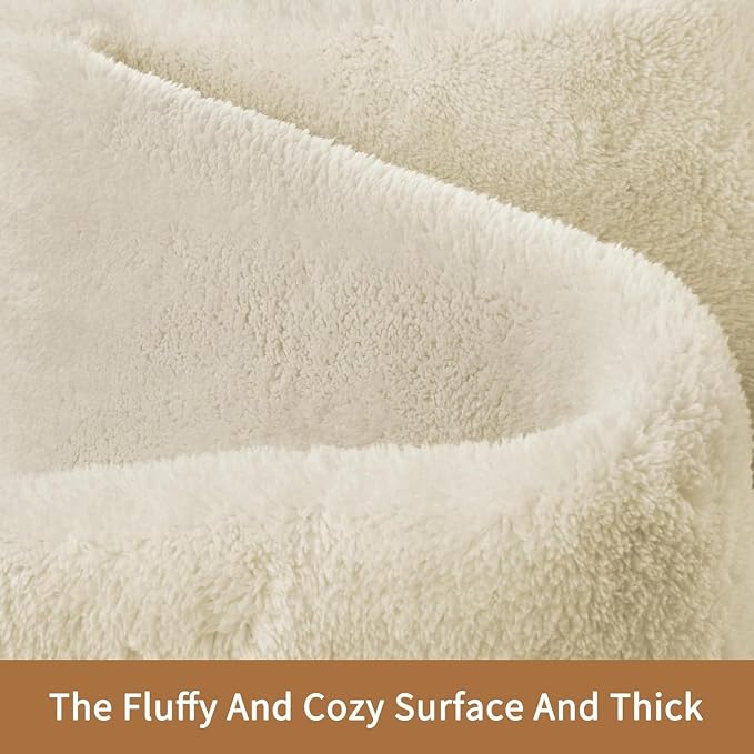 Sour Lemon 10x14 Area Rugs for Living Room, Soft Large Area Rug Fluffy Rugs for - Image 2