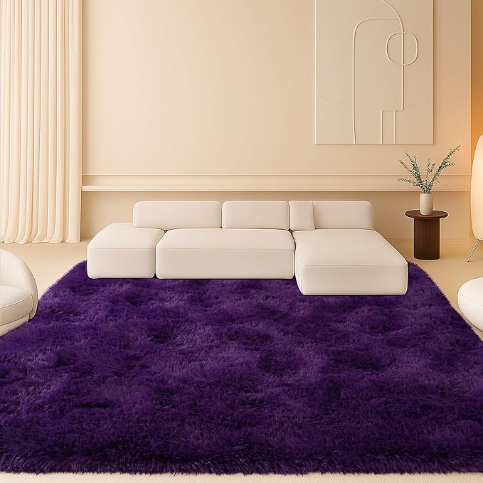 6x9 Rugs for Living Room, Rug for Bedroom, Plush Fluffy Carpet, Non-Slip by Mtandyx