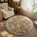 EasyJoy Faux Sheepskin Rug, Fluffy Faux Fur Rug, Ultra Soft Shag Area Rug by EasyJoy