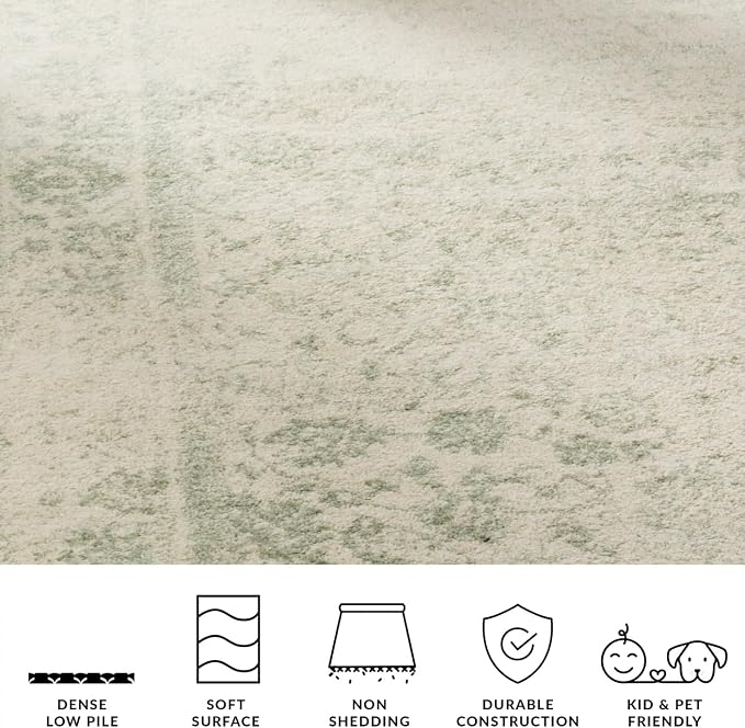 SAFAVIEH Adirondack Collection Area Rug - Image 9