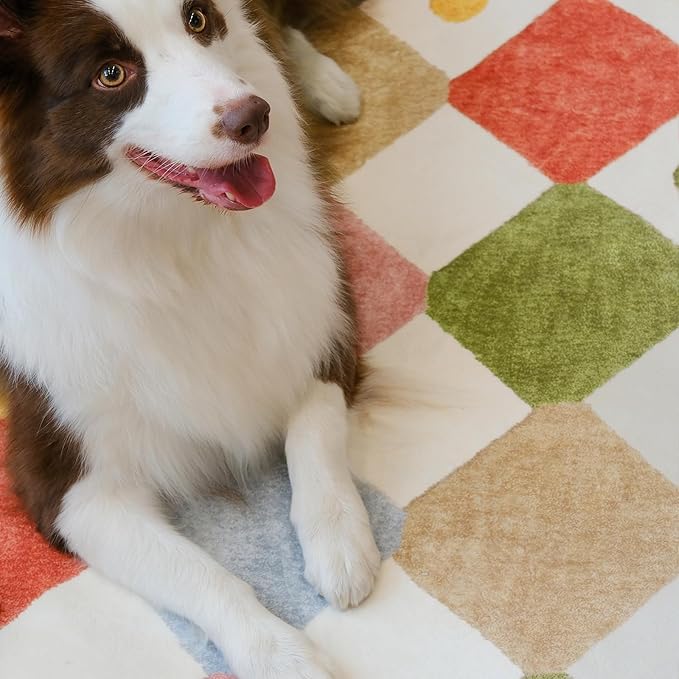 jinchan Macy 3x5 Area Rug for Kids Room Modern Colorful Checkered Diamond - Image 4