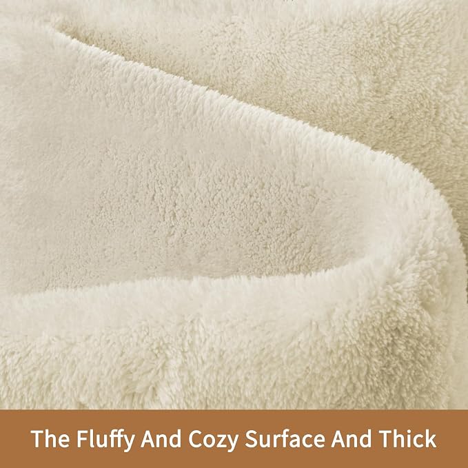 Sour Lemon 8x10 Area Rugs for Living Room, Soft Large Area Rug Fluffy Rugs for - Image 2