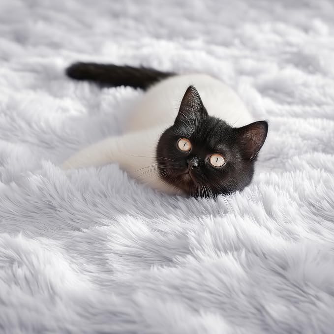 PAGISOFE Fluffy Shaggy Area Rug 5x8, Plush Rugs - Image 2