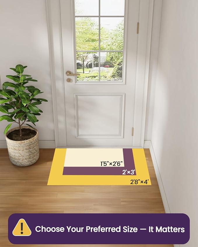 DEXI Ultra Thin Entryway Indoor Door Mat 32x48, Non Slip Rubber Backing Inside - Image 2