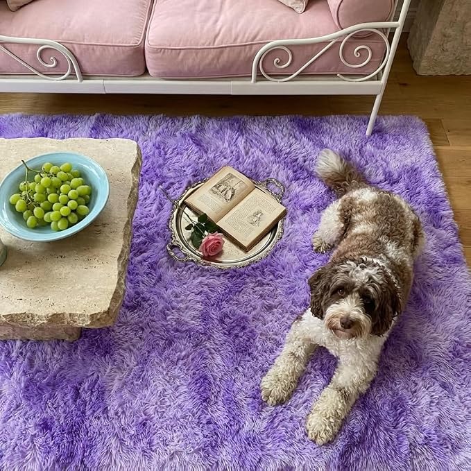 Mugorn 4x6 Rugs for Living Room, Large Fluffy Area Rugs for Bedroom, Soft - Image 3