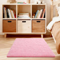 Pink Rug for Bedroom, 3x5 Fluffy Area Rugs for Living Room, Small Fuzzy Shag by Unknown