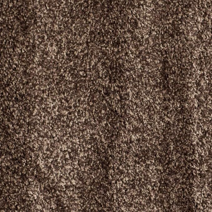 SAFAVIEH Area Rug 8x10 - Image 8