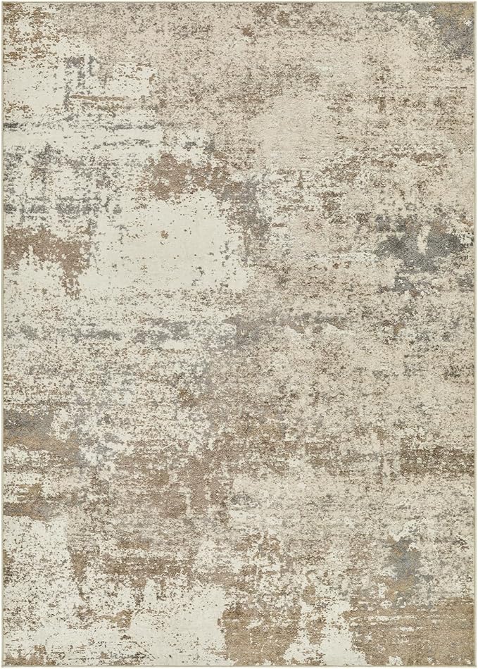 Area Rug Living Room - Image 8