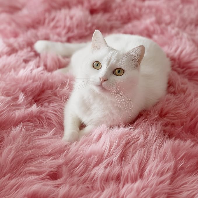PAGISOFE Shaggy Fluffy Area Rugs Carpets - Image 3