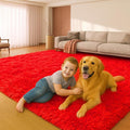 5x7 Plush Fluffy Area Rugs, Large Soft Carpet, Upgraded Non-Slip Rectangular Rug by Mtandyx