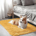 OLANLY 2x3 Machine Washable Small Bedside Rug, Soft Fluffy Shaggy Entryway by OLANLY
