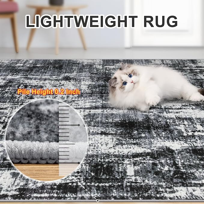 Area Rugs 10x12 Living Room - Image 6