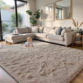yongyangjuxin Fluffy Rug Shag Area Rug, Large Shag Area Rugs by Yongyangjuxi