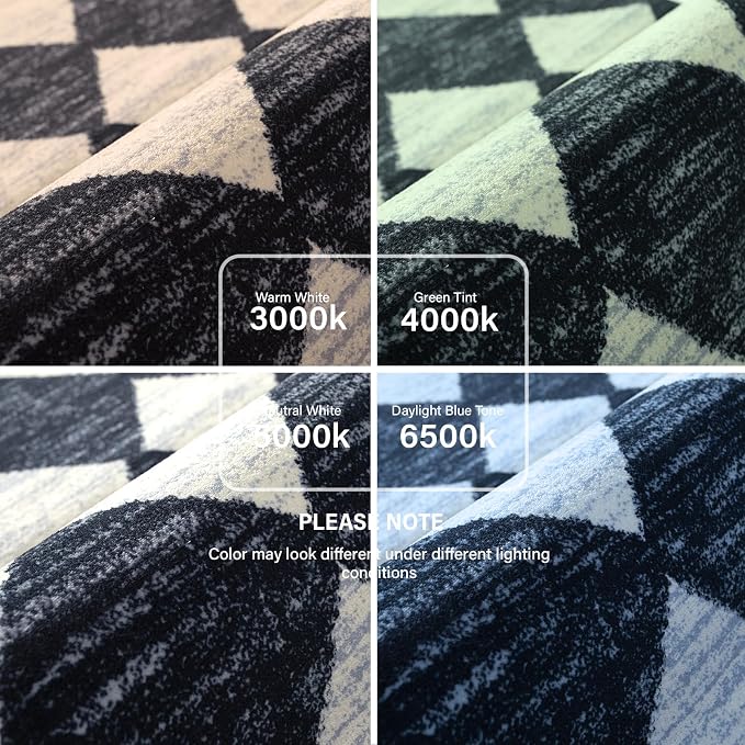 Lahome Zelie Moroccan Trellis Area Rug, 2x3 Small Black Checkered Entryway Rug - Image 9