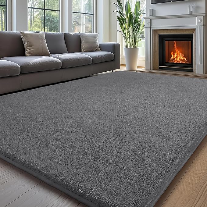 Sour Lemon 5x7 Area Rugs for Living Room, Soft Large Area Rug Fluffy Rugs for by SourLemon