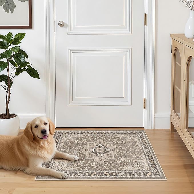 Vintage Living Room Area Rug 2x3 - Image 7