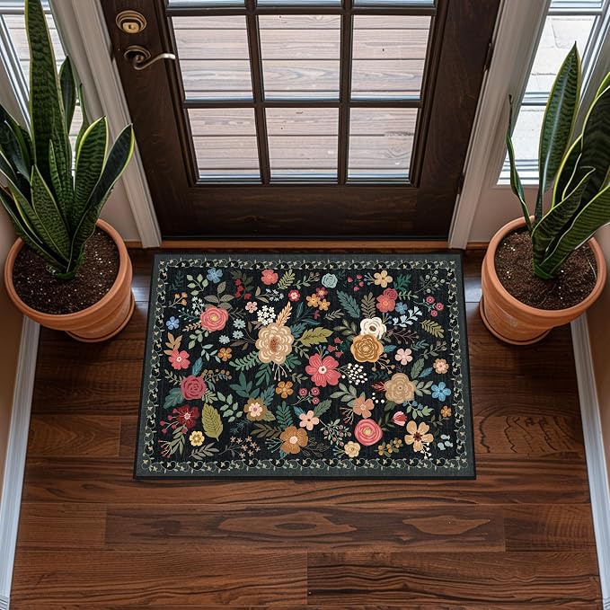 Door Mat Indoor Entrance 2x3 Rug Non-Slip Bathroom Small Rugs Stain Resistant by Unknown