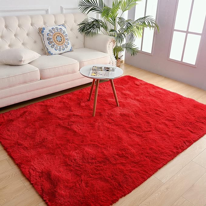 Chicrug Soft Area Rugs for Bedroom Living Room Plush Fluffy Rug 3x5 Feet by ChicrugHomeDecor