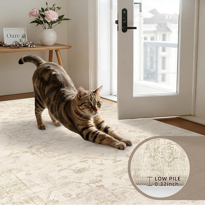 3x5 Area Rugs for Living Room: Vintage Boho Neutral Washable Rug Indoor Soft - Image 7