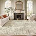 Soalmost 7x10 Area Rug for Living Room Washable Abstract Vintage Soft Thin by Soalmost