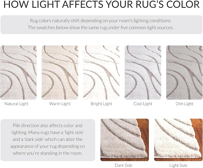 SAFAVIEH Florida Shag Collection Accent Rug - Image 9