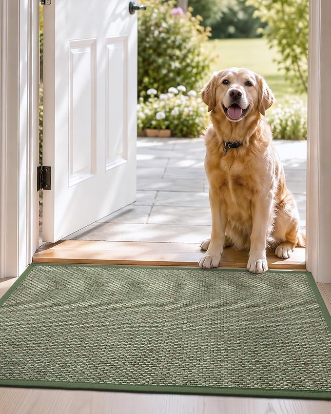 DEXI Ultra Thin Entryway Indoor Door Mat 32x48, Non Slip Rubber Backing Inside - Image 9