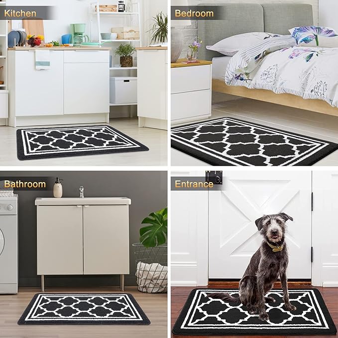 Buganda Large Indoor Door Mat, Dirt-Resistant and Absorbent Doormat, Low - Image 6