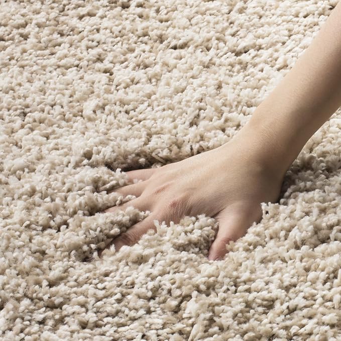 SAFAVIEH Area Rug 4x6 - Image 9