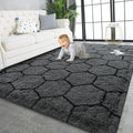 TWINNIS Super Soft Shaggy Rugs Fluffy Carpets, 6x9 Feet, Indoor Modern Plush by TWINNIS