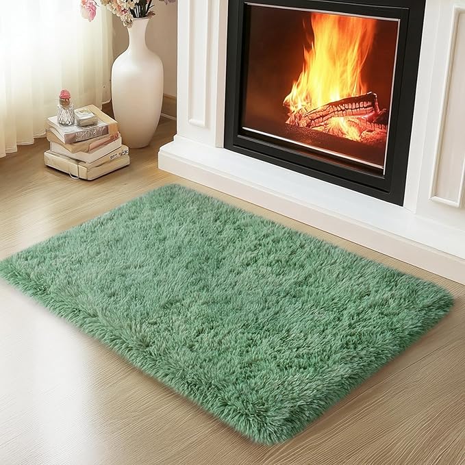 Mugorn Green Rugs for Bedroom, 2x3 Feet Fluffy Area Rugs for Living Room by MUGORN