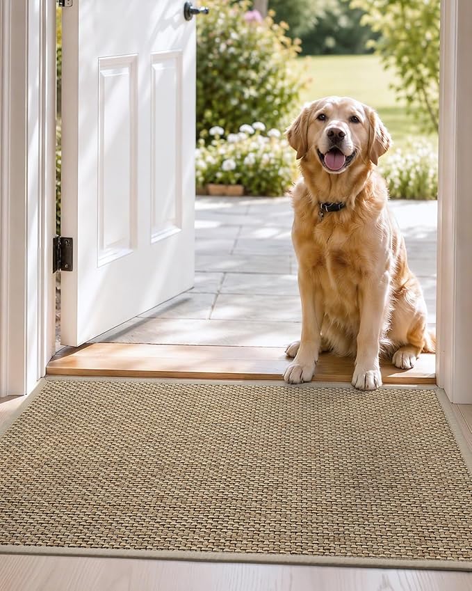 DEXI Ultra Thin Entryway Indoor Door Mat 17x30, Non Slip Rubber Backing Inside - Image 9